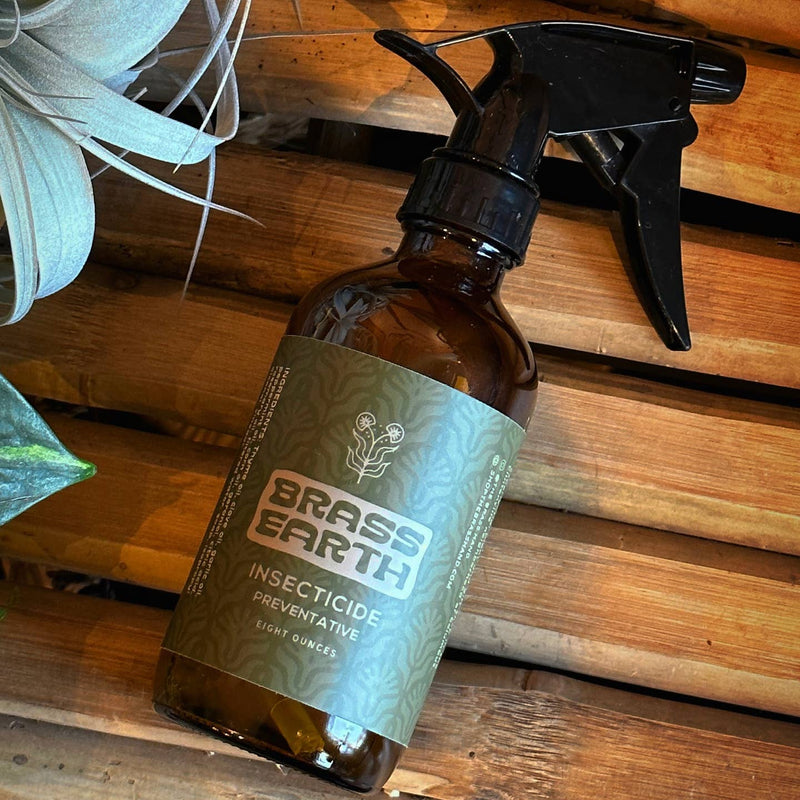 Natural Houseplant Insecticide