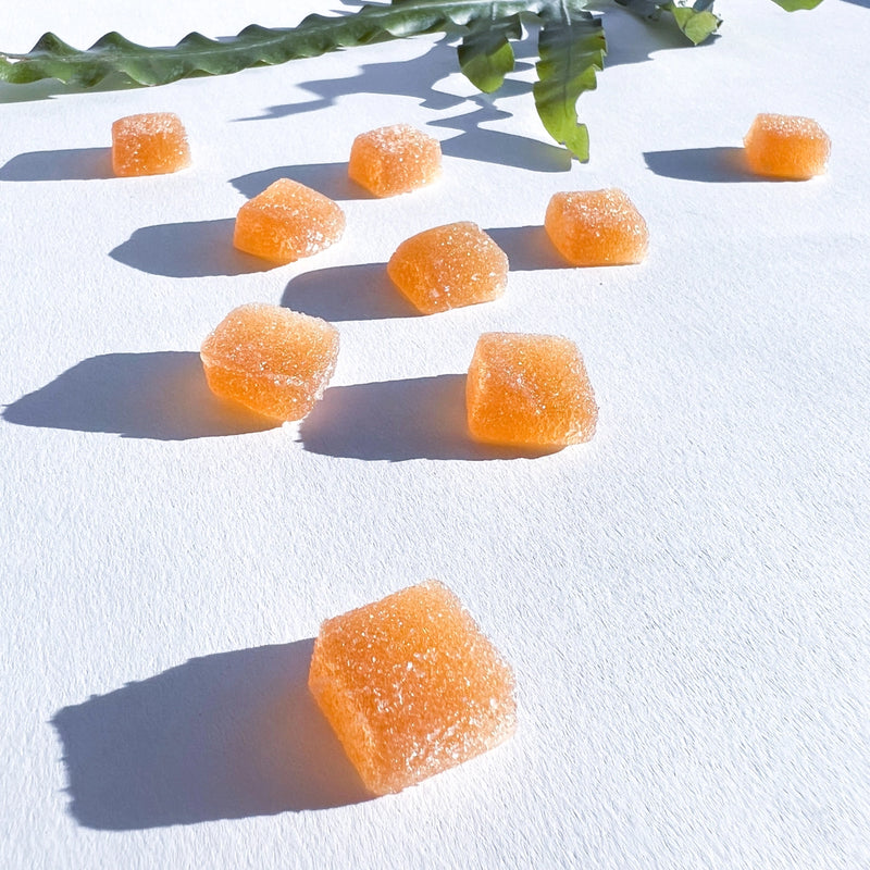 Concentrate Mushroom Gummies 5ct