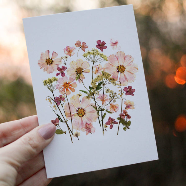Pink Cosmos Card