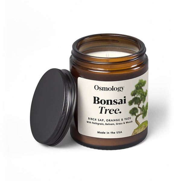 Bonsai Tree Candle | Birch Sap + Orange + Yuzu
