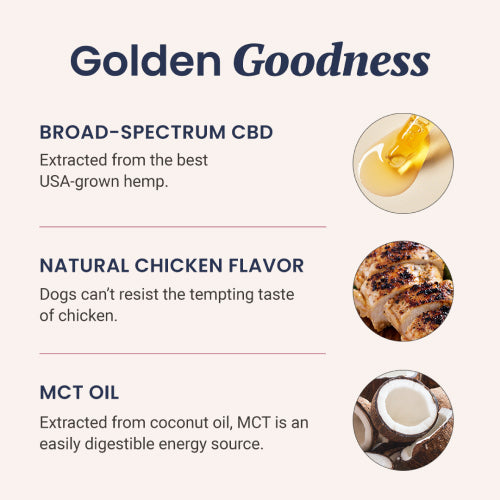 3000 mg CBD Pet Tincture EXTRA STRENGTH | Chicken Flavor