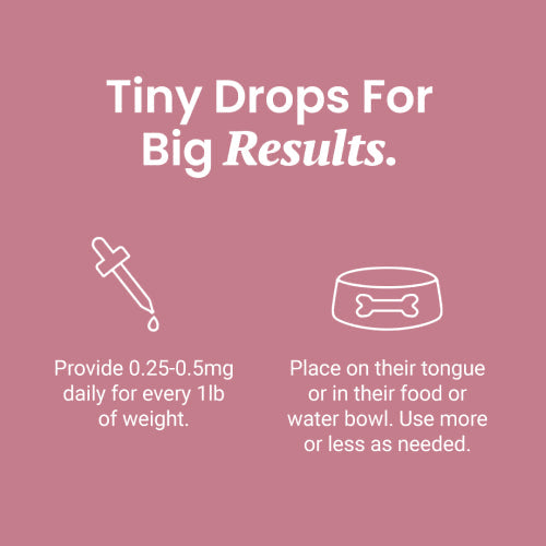 3000 mg CBD Pet Tincture EXTRA STRENGTH | Chicken Flavor