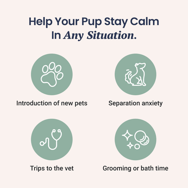 CBD Calming Soft Chew Dogs Treats