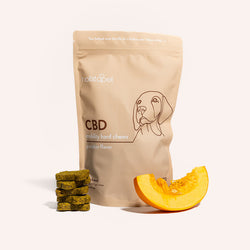 CBD Mobility Hard Chew Dog Treats