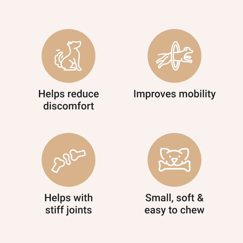 CBD Mobility Soft Chew Treats