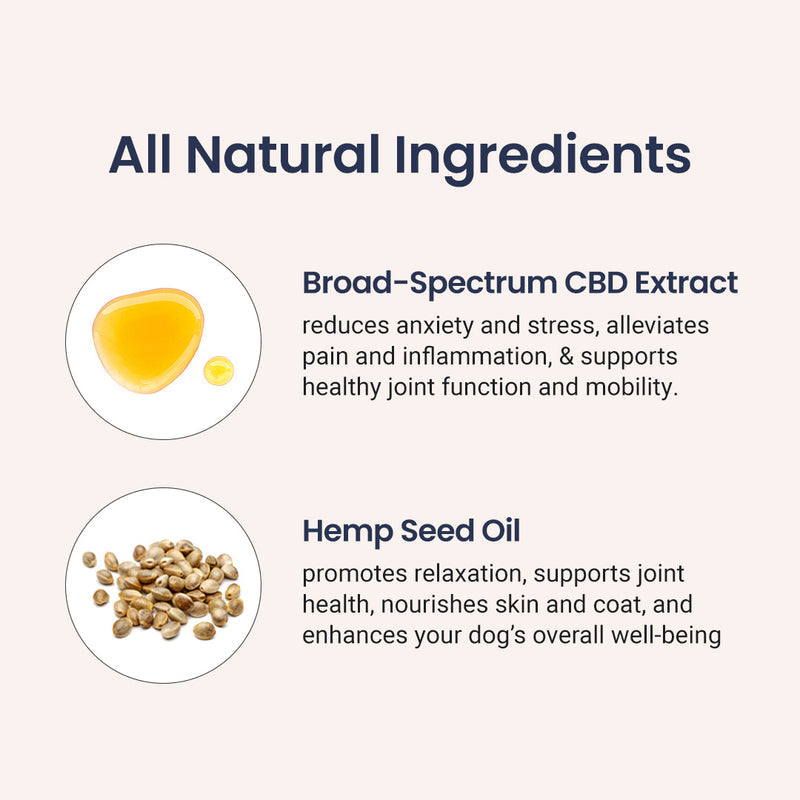 300 mg CBD Pet Tincture | Chicken Flavor