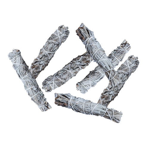 Mini White Sage