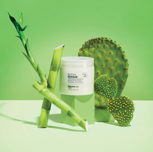 Hair Repair Treatment Mask