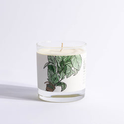 Summer Mint Candle | 7 oz