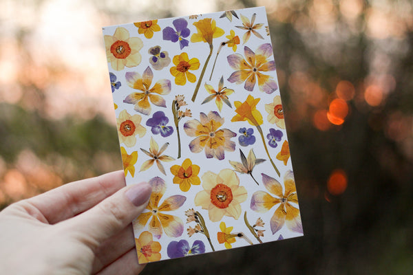 Tulips/Daffodil Mix Card