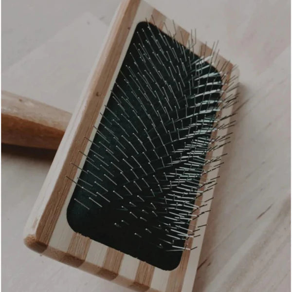 Cat Brush