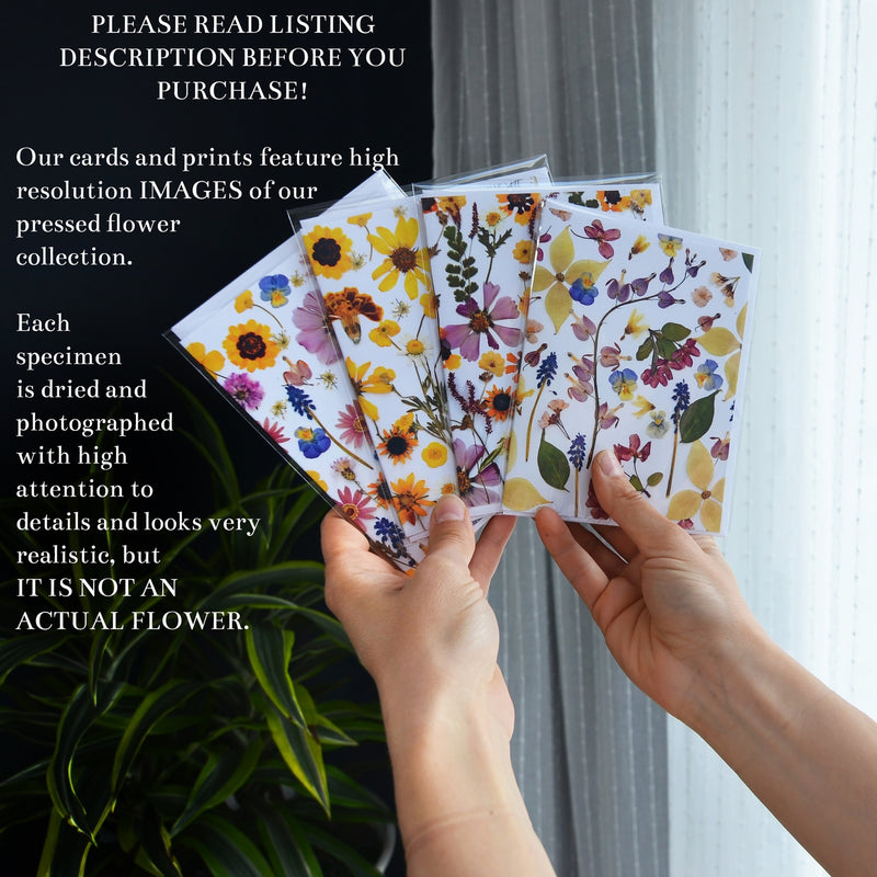Anemone Poppy Card