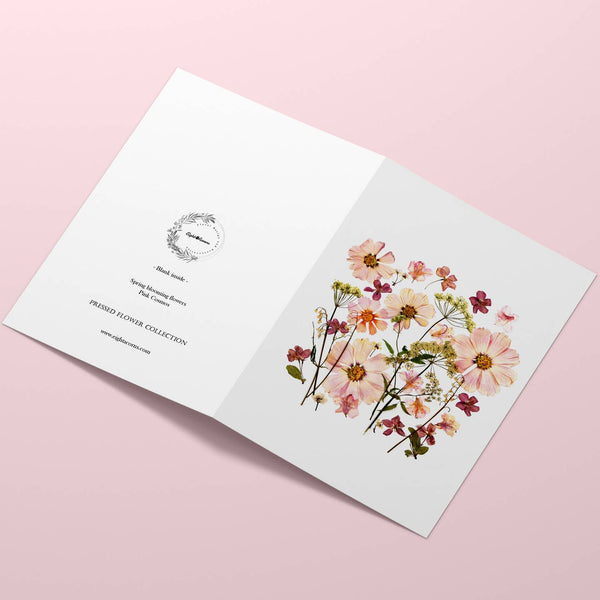 Pink Cosmos Card