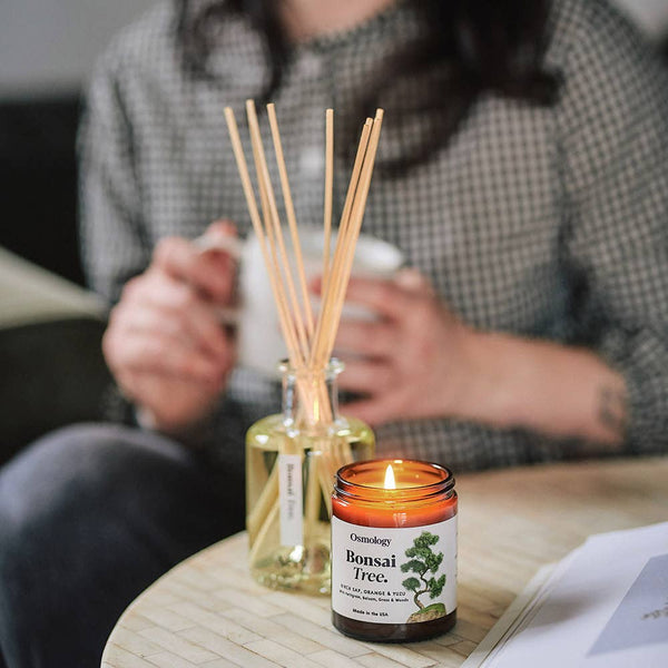 Bonsai Tree Candle | Birch Sap + Orange + Yuzu