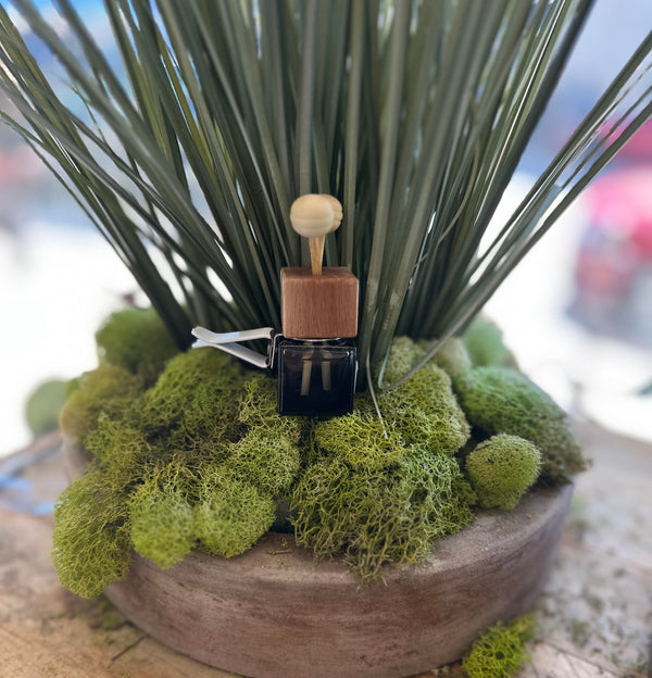 Car Diffuser | Forest Bathing