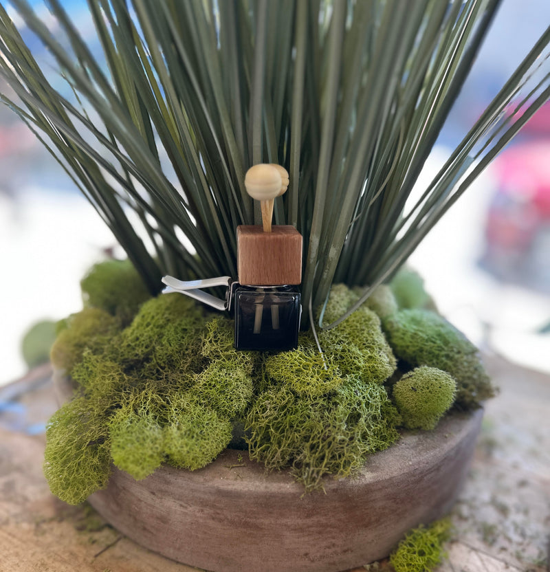Car Diffuser | Forest Bathing