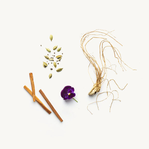 Havana Natural Deodorant