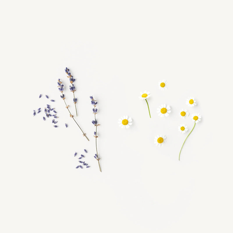 evolvetogether Hand Cream | Provence