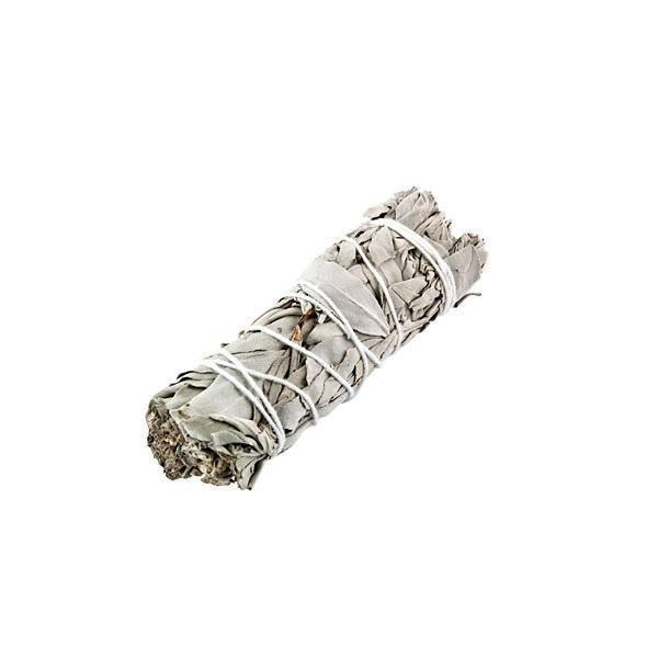 Mini White Sage