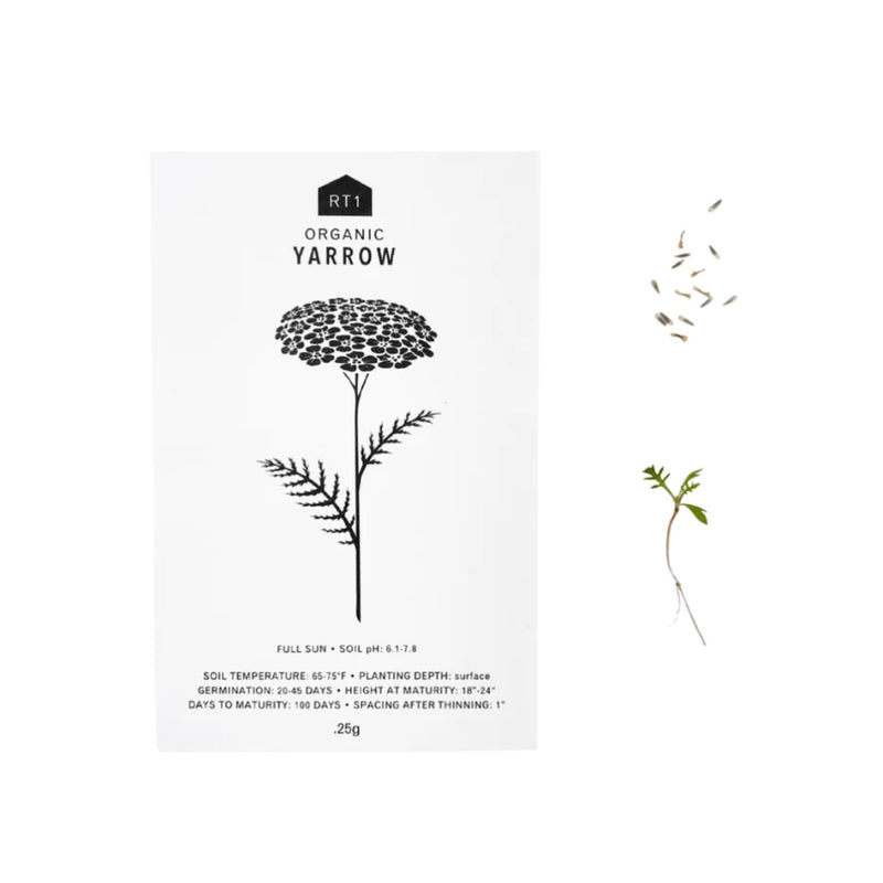 Medicinal Herb Seeds