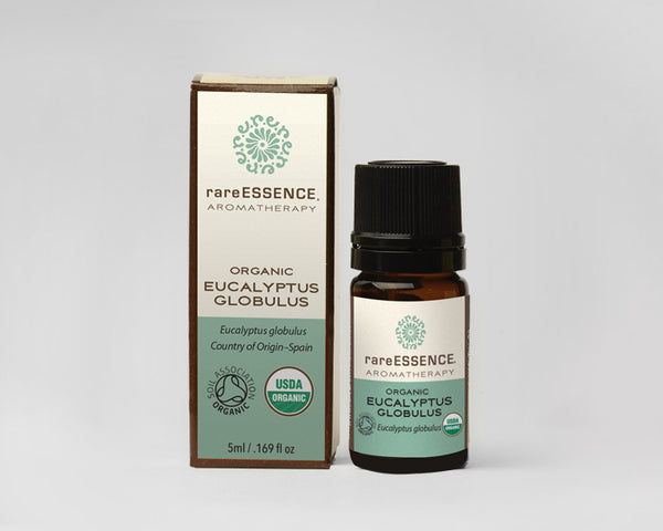 Eucalyptus Globulus Essential Oil
