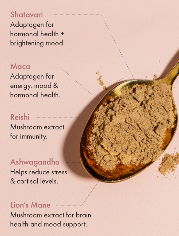 Happy Start Mushroom powder