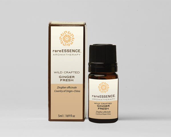Ginger Essential Oil