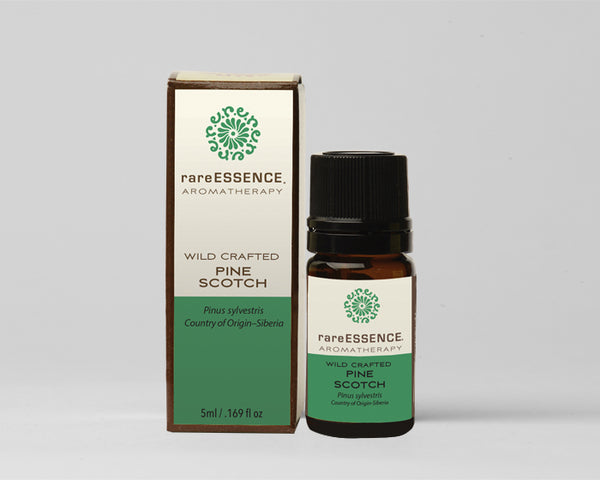 Pine Scotch Essential Oil