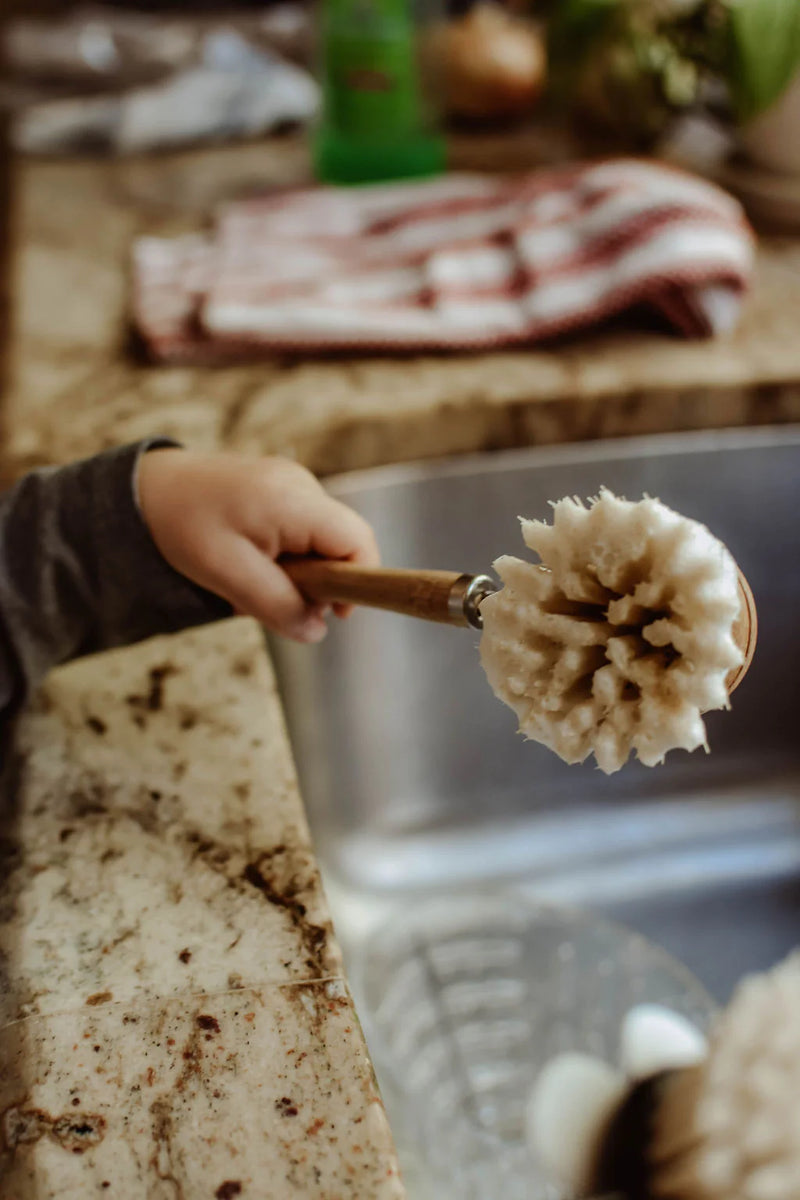 Bamboo Long Handle Dish Brush