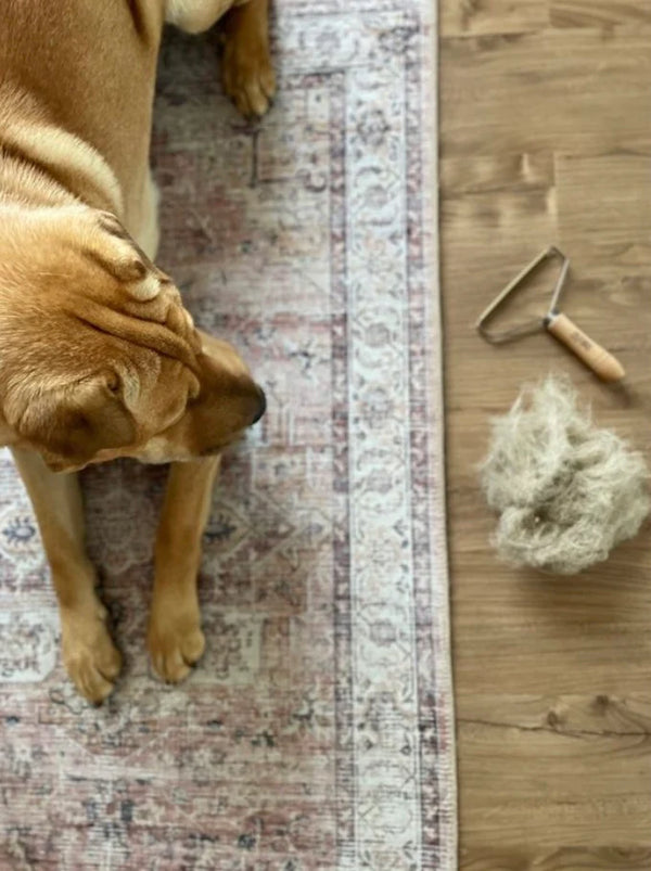 Lint Remover