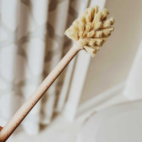 Toilet Brush